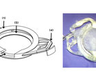 The Oseguera Ring