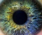 A Custom Iris Prosthesis Finally Gains FDA Approval