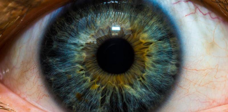 Corneal Biomechanics and the Evaluation of Corneal Ectasia