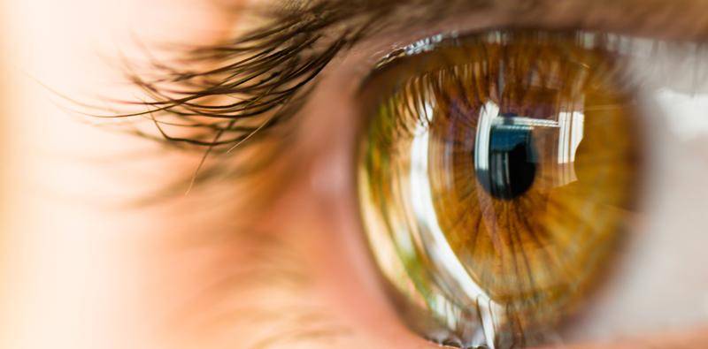 Initial Results With Allograft Corneal Inlays