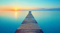Dock Talk