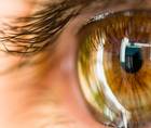 Initial Results With Allograft Corneal Inlays