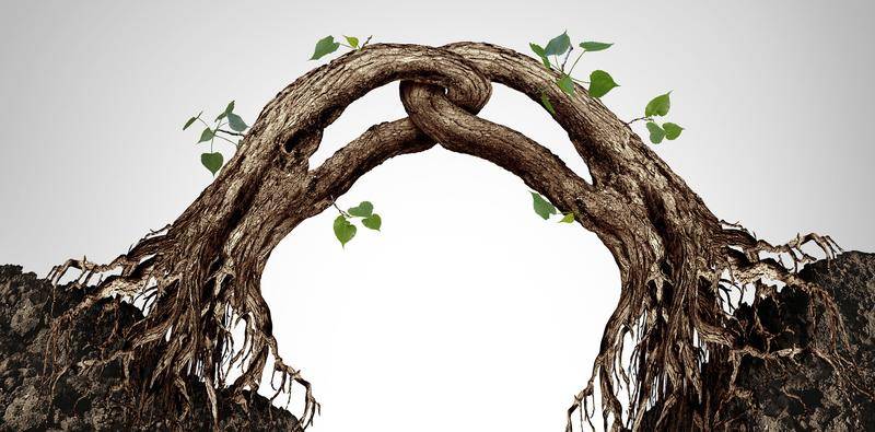 Bridging Gaps Strengthening Foundations