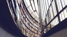 The Literature