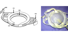 The Oseguera Ring