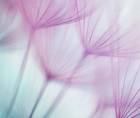 Cataract After Radiation Treatment in a Posttraumatic Eye