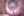 Figure 11. The surgeon used microforceps to check
the elasticity of the iris tissue and to make sure an
iridoplasty could be performed. Microforceps can also be
used to show where a polypropylene suture should be
placed to minimize the irregularity of the pupil.
