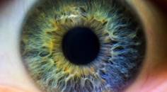 A Custom Iris Prosthesis Finally Gains FDA Approval