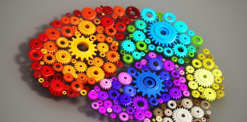 Reducing the Prevalence of Dementia