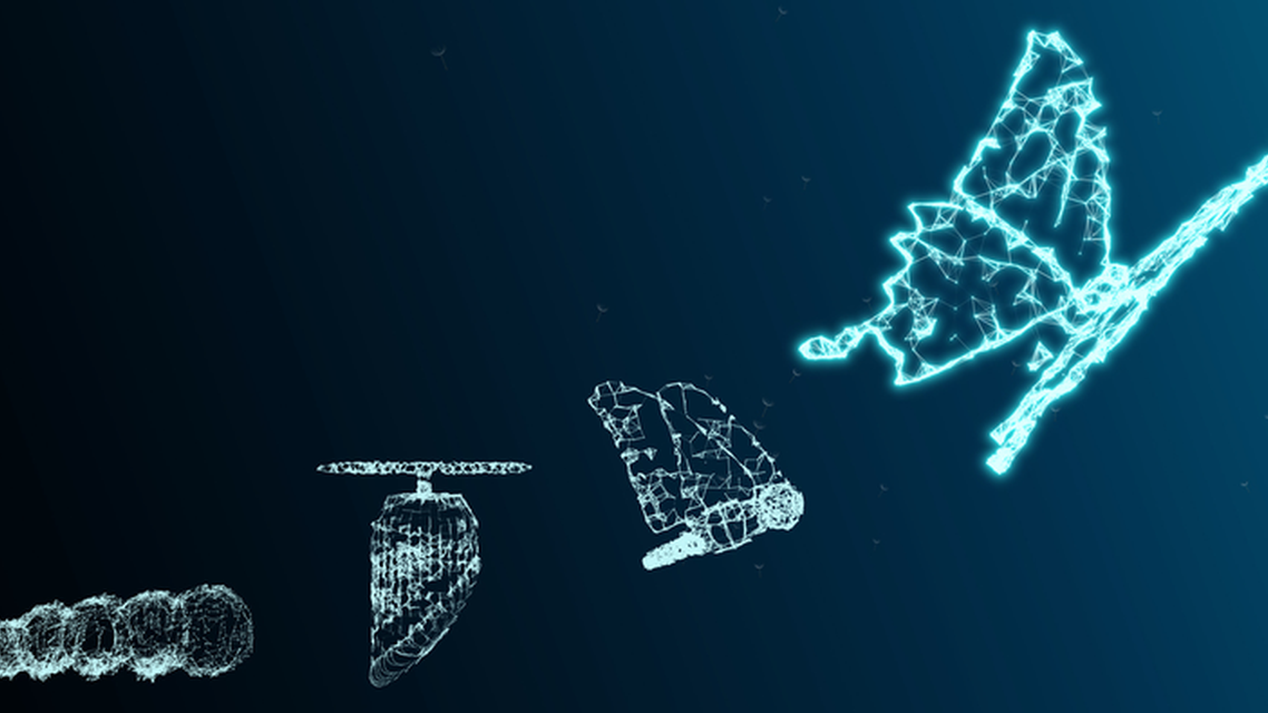 Evolution and Innovation