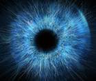 Preoperative Corneal Marking for Toric IOL Implantation