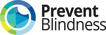 Prevent Blindness Launches “Eyes on Capitol Hill” Online Advocacy Resource image