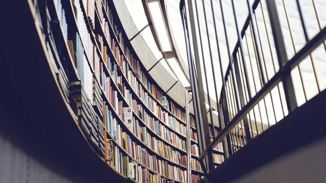 The Literature