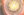 Figure 1. OVD is injected into the
eye prior to lens emulsification.