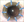Figure 4. Eight retraction points of the pupillary margin (blue arrows) with the Malyugin Ring create a round, enlarged pupil.